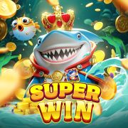 Wim44bet login