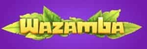 Claze top
