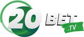 Classificação do palmeiras - Donaldbet
